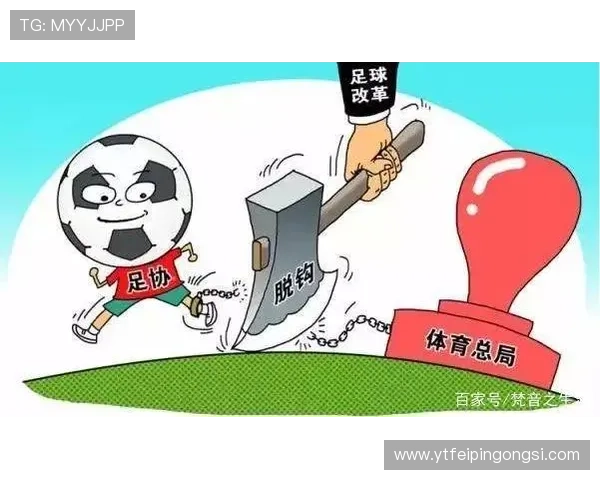 省级足球职业联赛发展现状与挑战分析：推动地方足球职业化进程的路径与策略